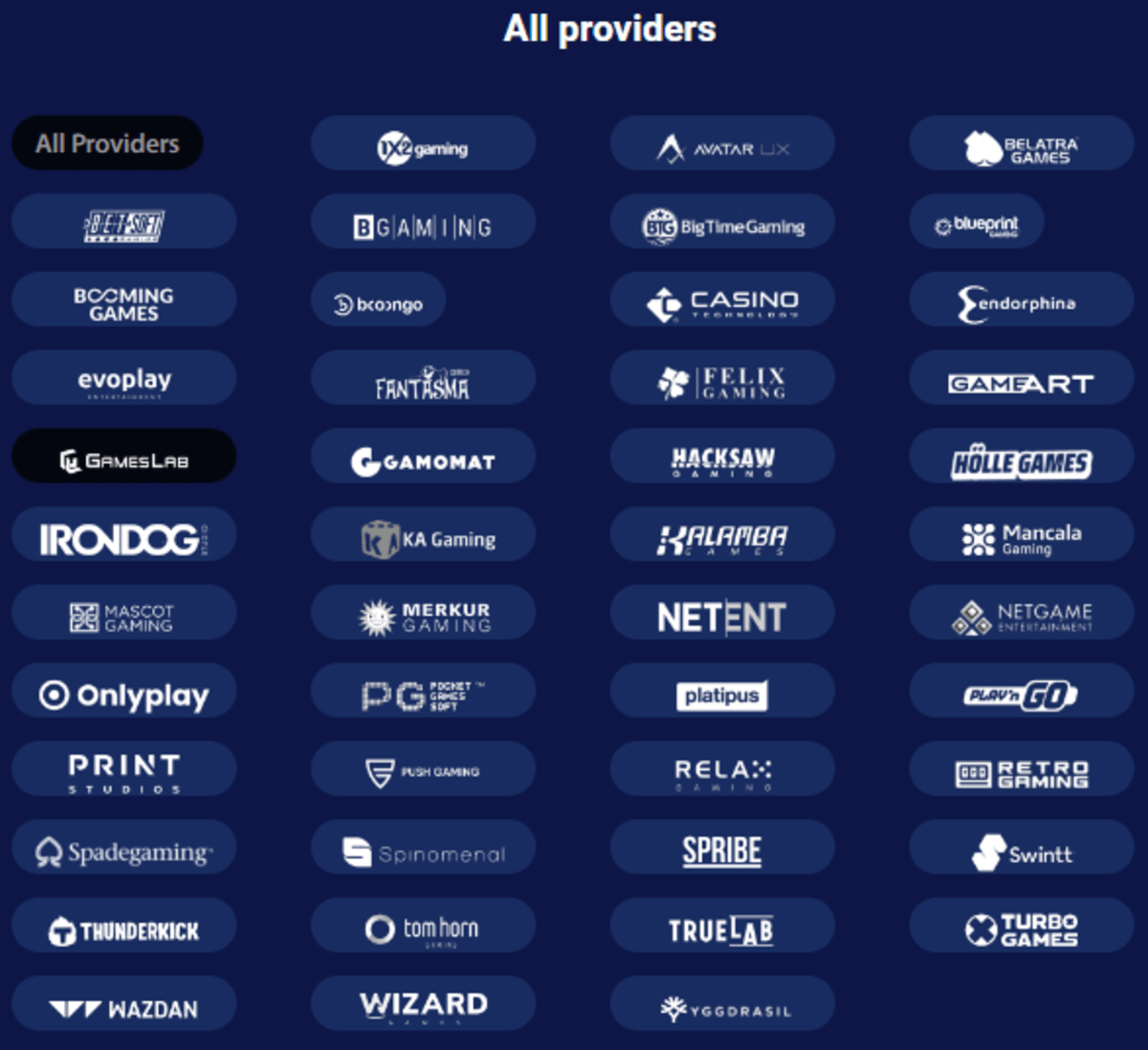 Blizz Softwareanbieter