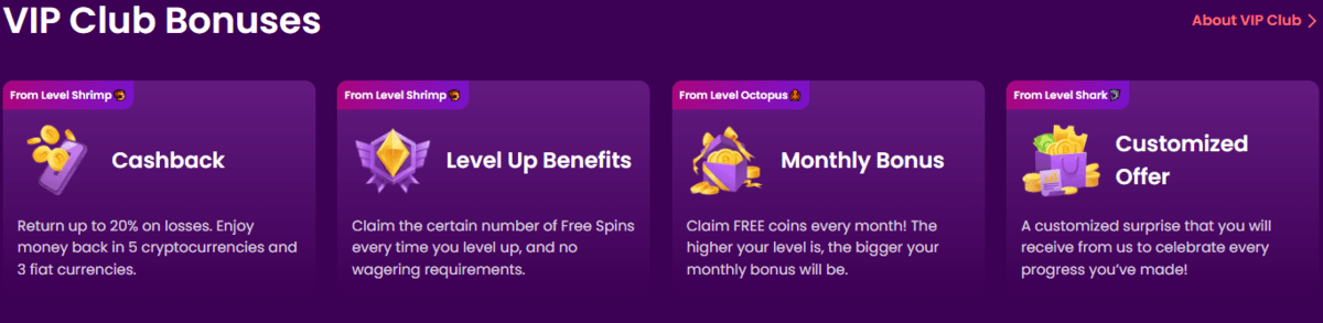 Boni des Trustdice-VIP-Clubs